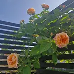 ヴィラ Beautiful And Romantic 2 Bedroom On The Island Aeroe *