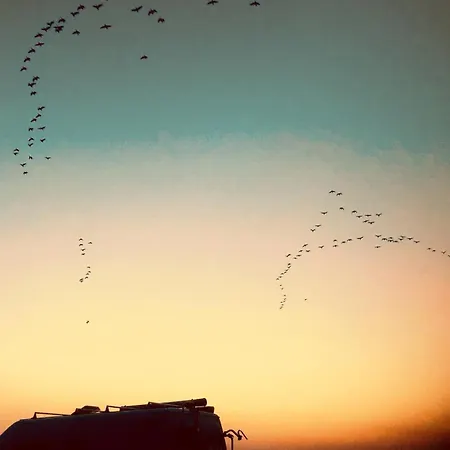 Beautiful On The Island Aeroe * Soby