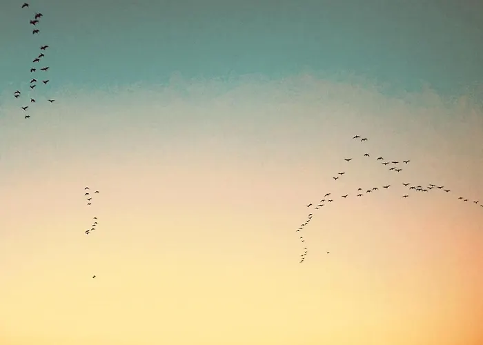 Beautiful And Romantic 2 Bedroom On The Island Aeroe * Soby